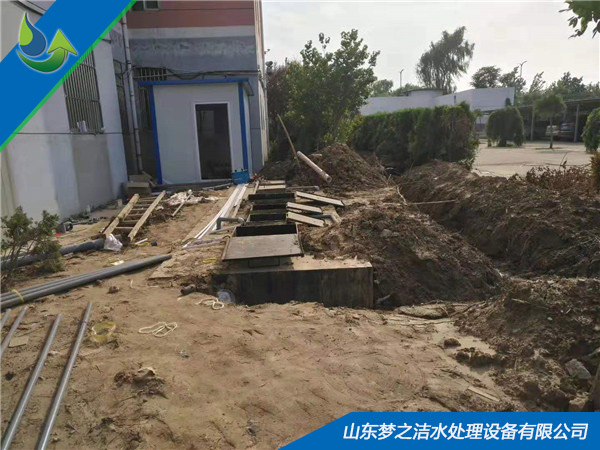 山东大菠萝网站入口设备