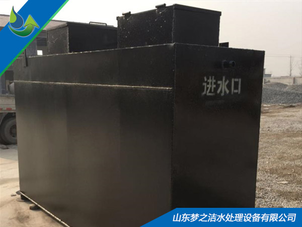 小型大菠萝网站入口器设备